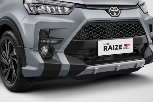 RAIZE