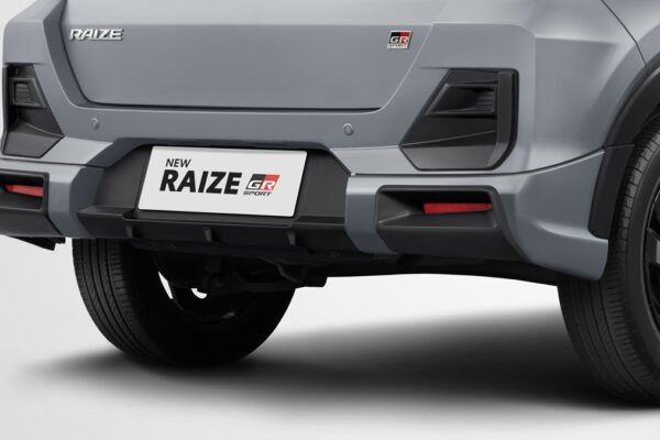 RAIZE